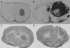 Fig. 2.