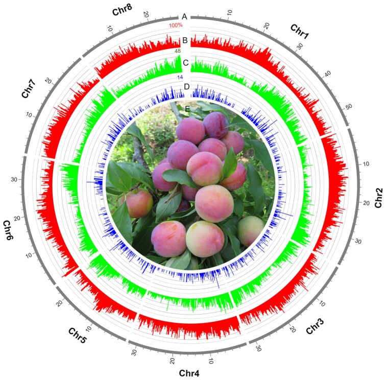 Figure 1: