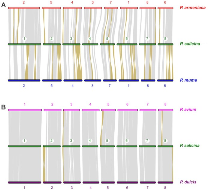 Figure 3: