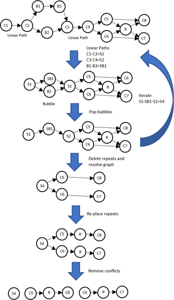 Fig 3