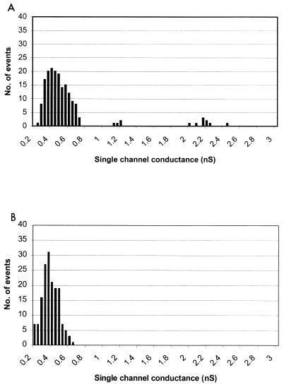 FIG. 1