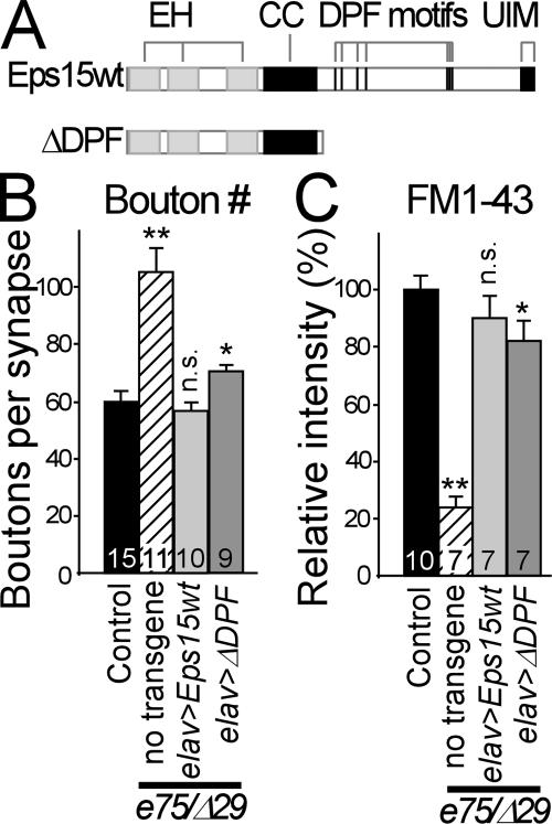 Figure 9.