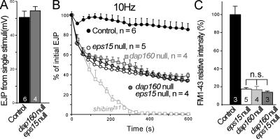 Figure 10.