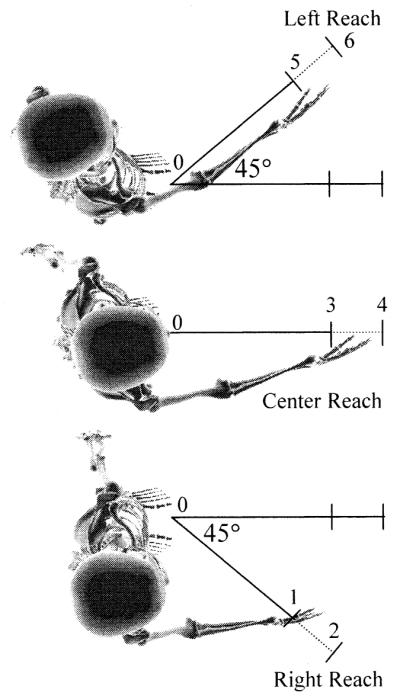 Fig. 3