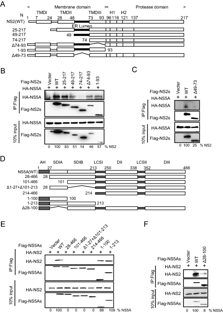 Fig. 7