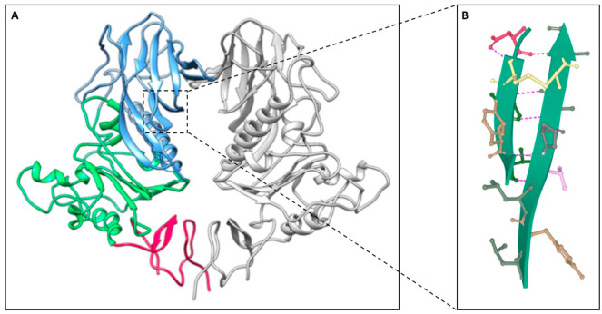 Fig. 1