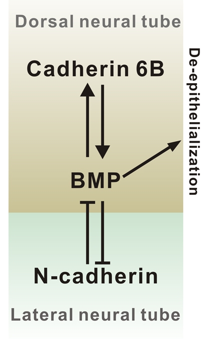 Fig. 8.