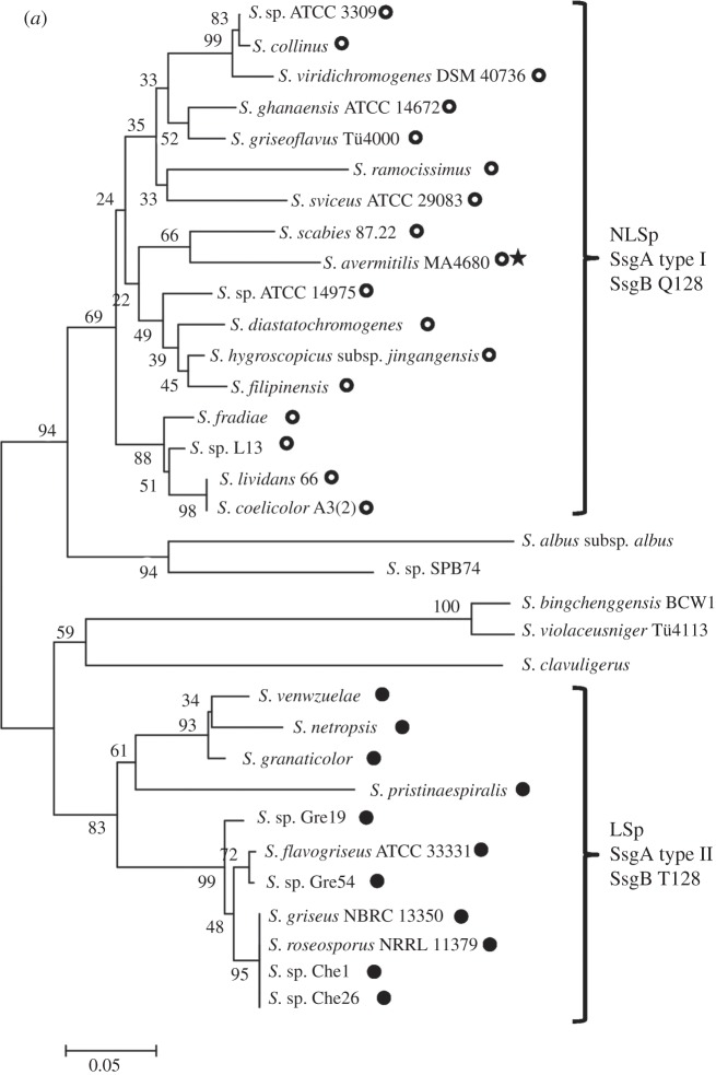 Figure 5.