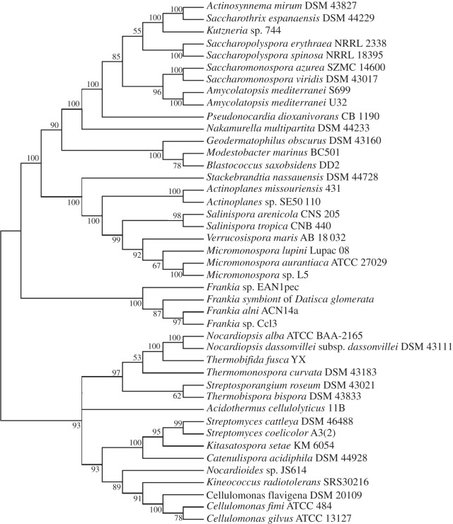 Figure 2.