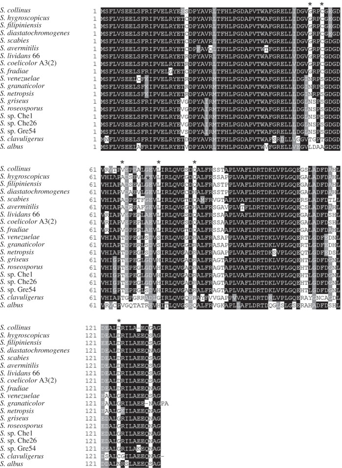 Figure 4.