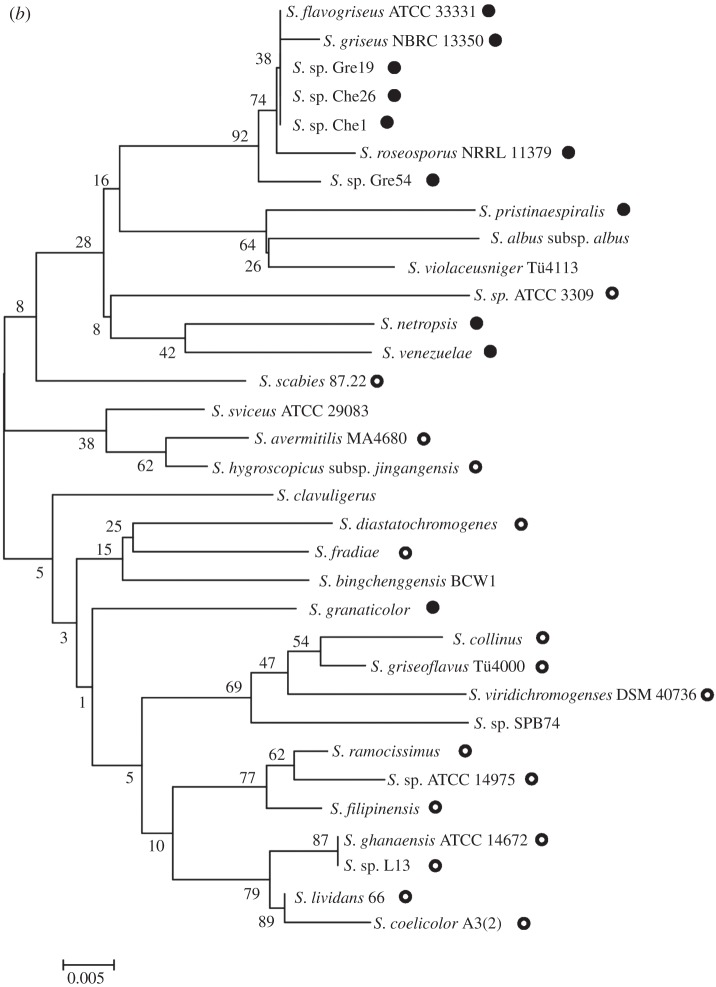 Figure 5.