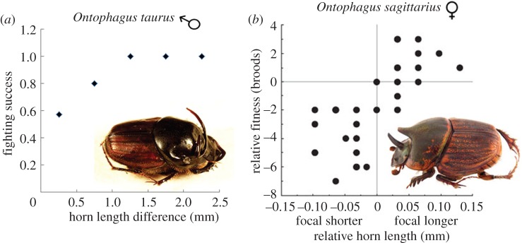 Figure 4.