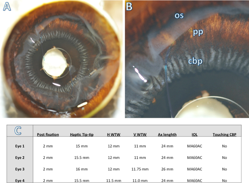 Figure 4.