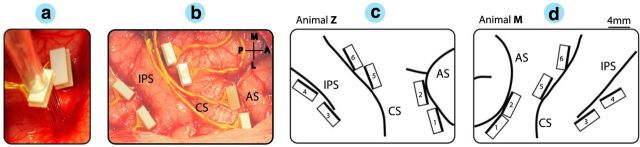 Figure 2.