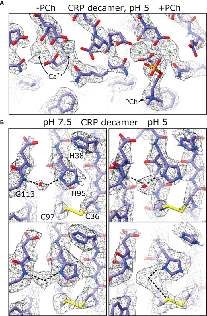 Figure 7