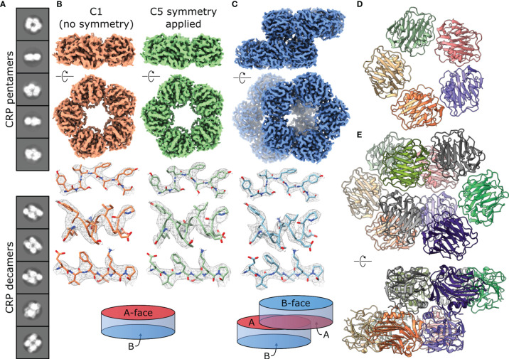 Figure 3