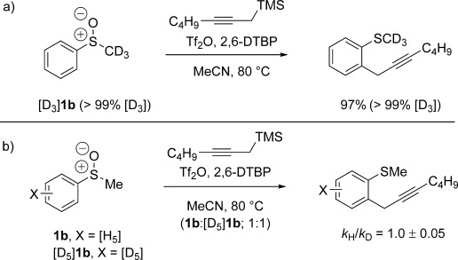 Scheme 5