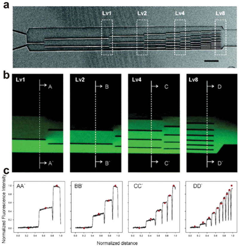 Fig. 13