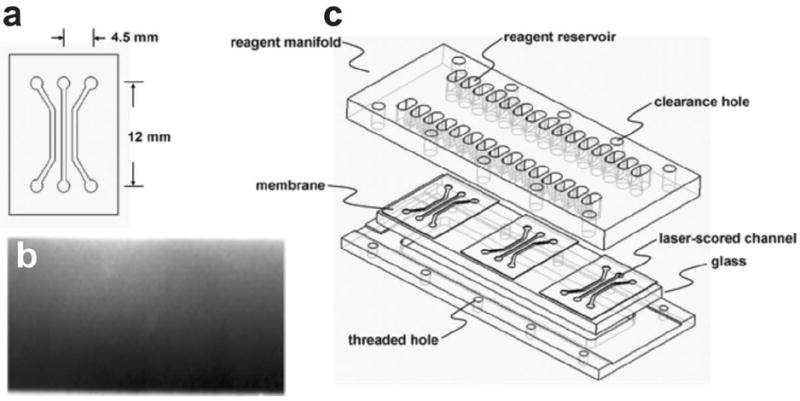 Fig. 15