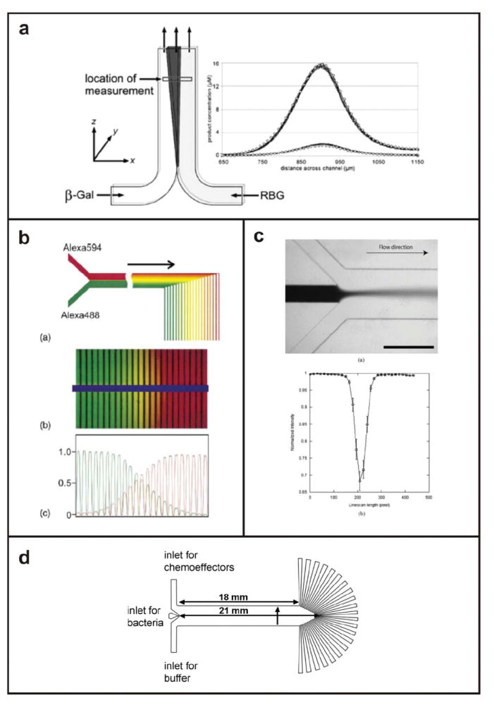 Fig. 11