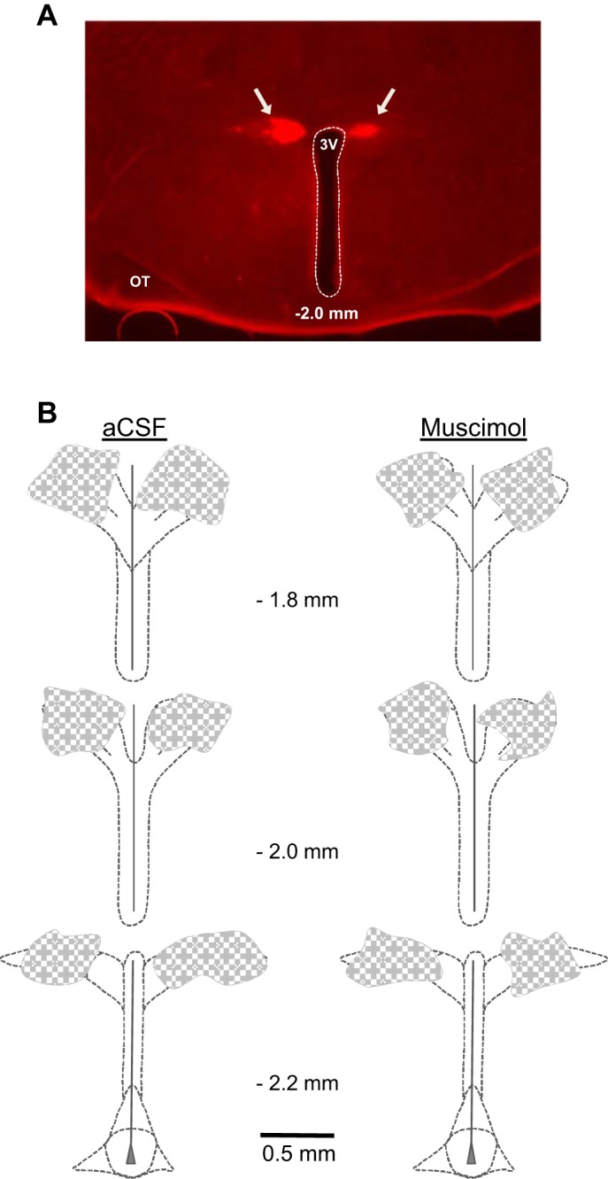 Fig. 5.