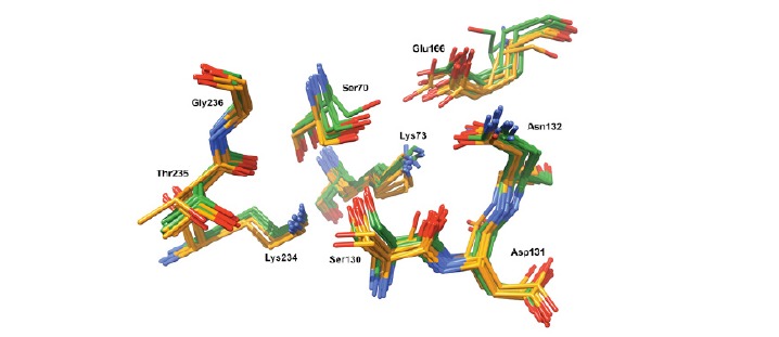 Fig. (5)