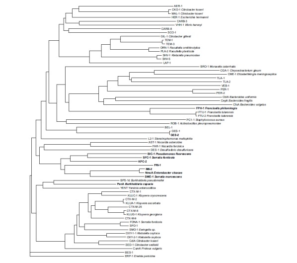 Fig. (2)