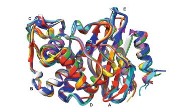 Fig. (4)