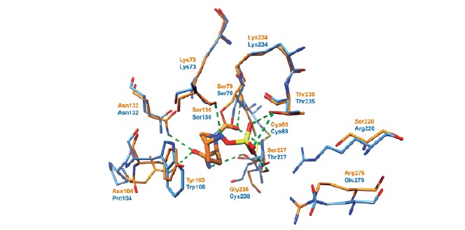 Fig. (6)