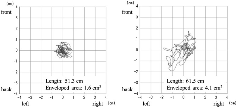 Fig. 3