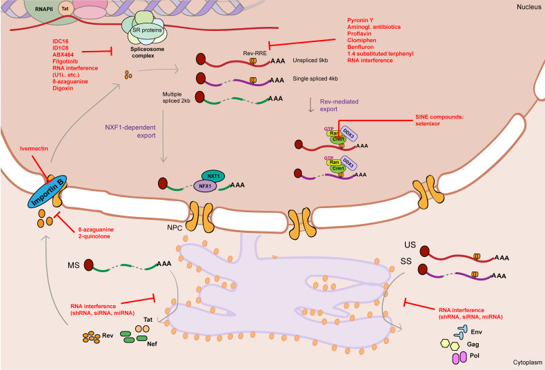 Figure 3