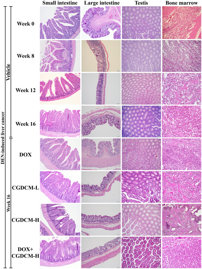 Figure 13