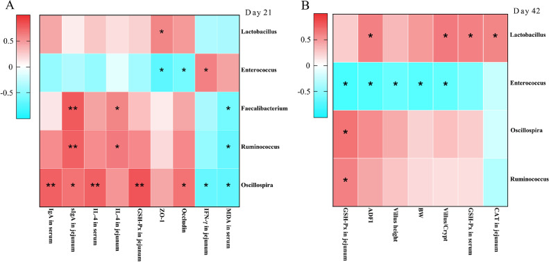 Figure 6: