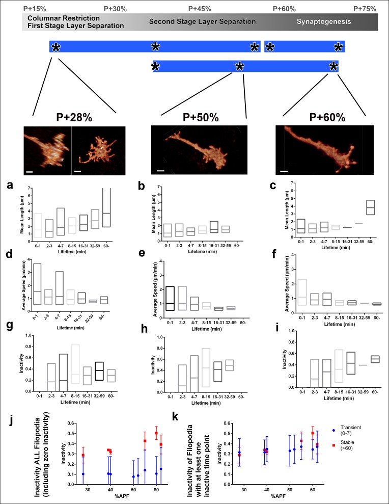 Figure 4—figure supplement 2.