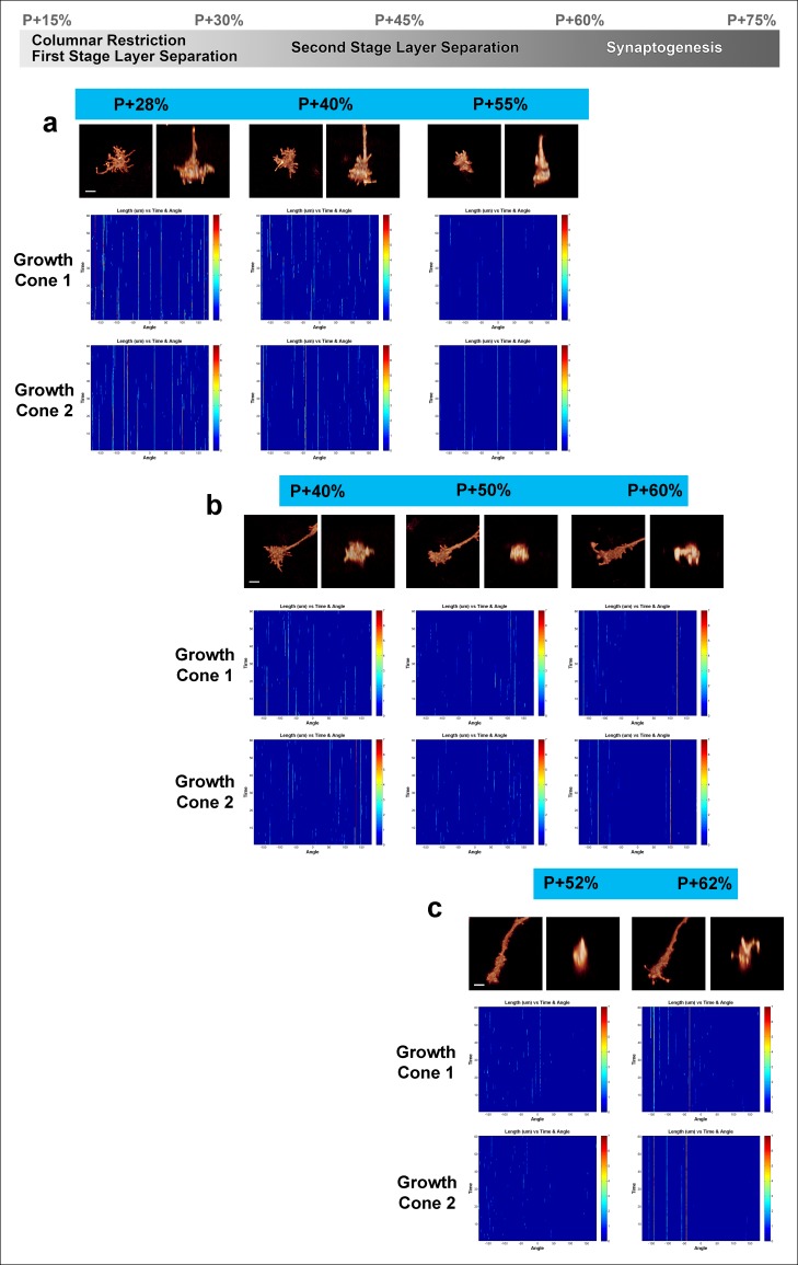 Figure 4—figure supplement 1.