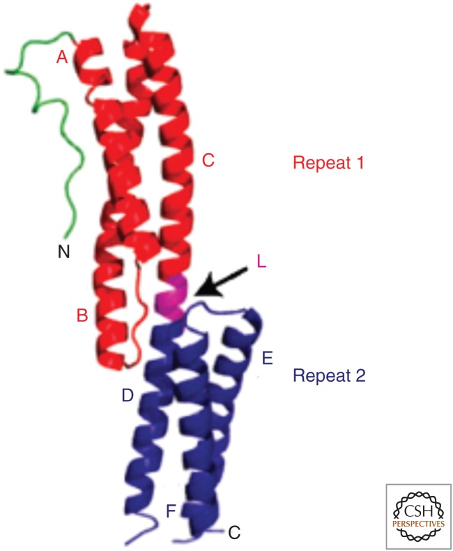 Figure 2.