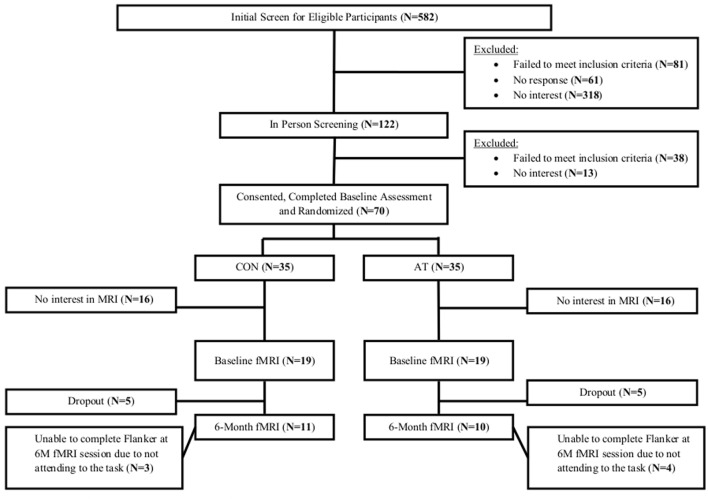 FIGURE 1