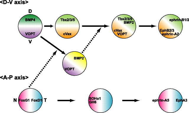 Figure 10.