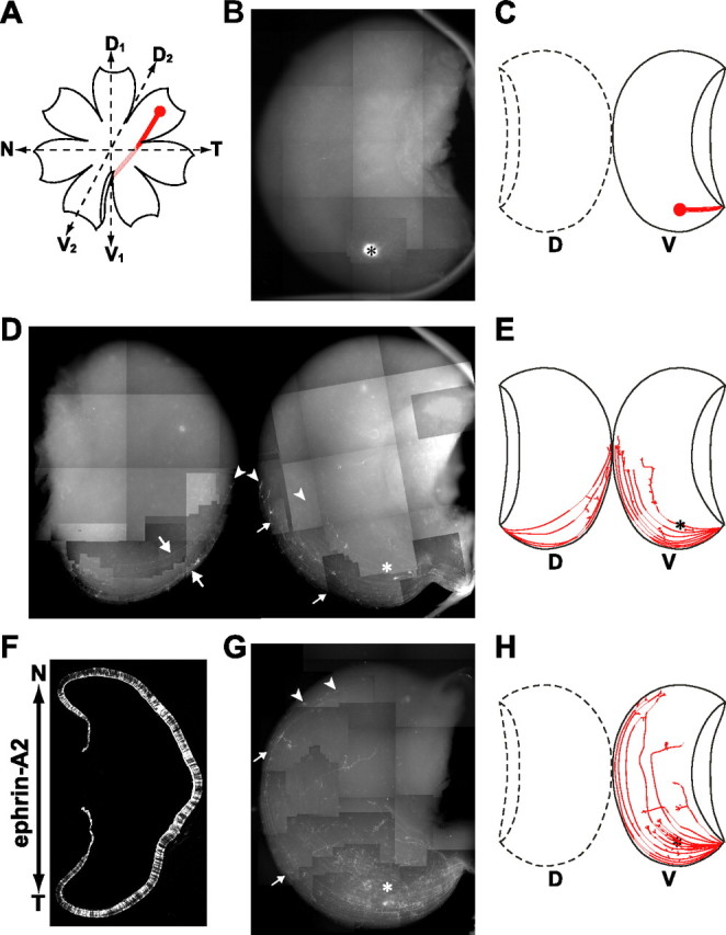 Figure 9.