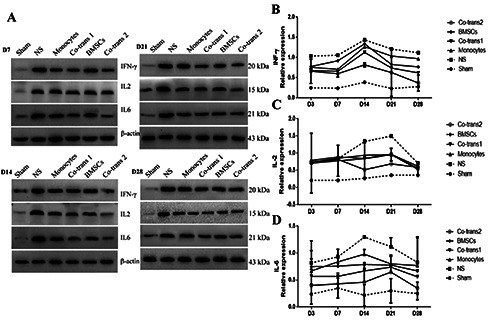 Figure 6.