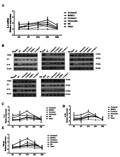 Figure 7.