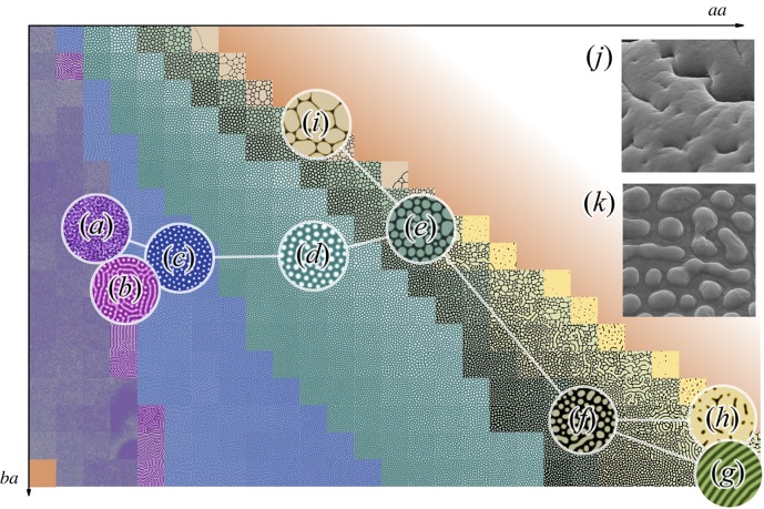 Figure 2.