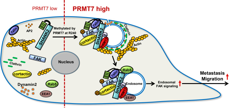 Figure 9.