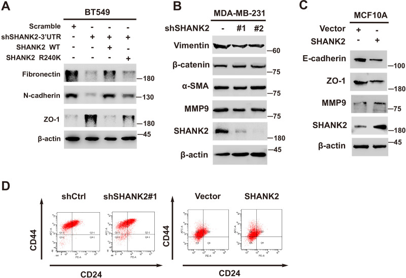 Figure 3—figure supplement 2.