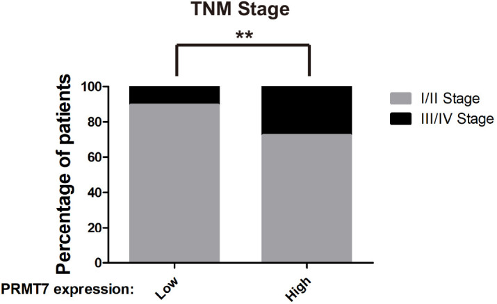 Figure 3—figure supplement 1.