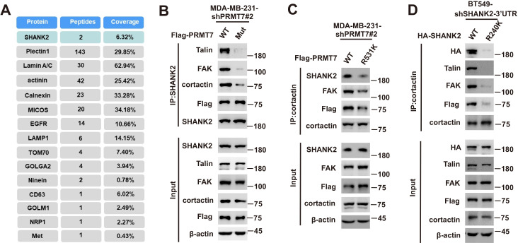 Figure 5—figure supplement 1.