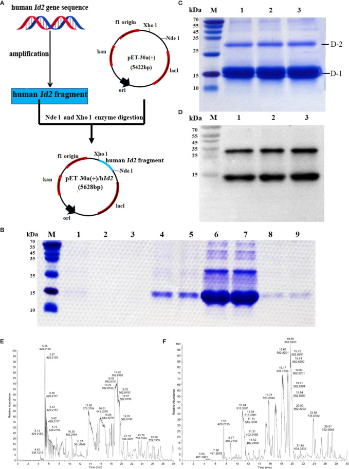 Figure 2