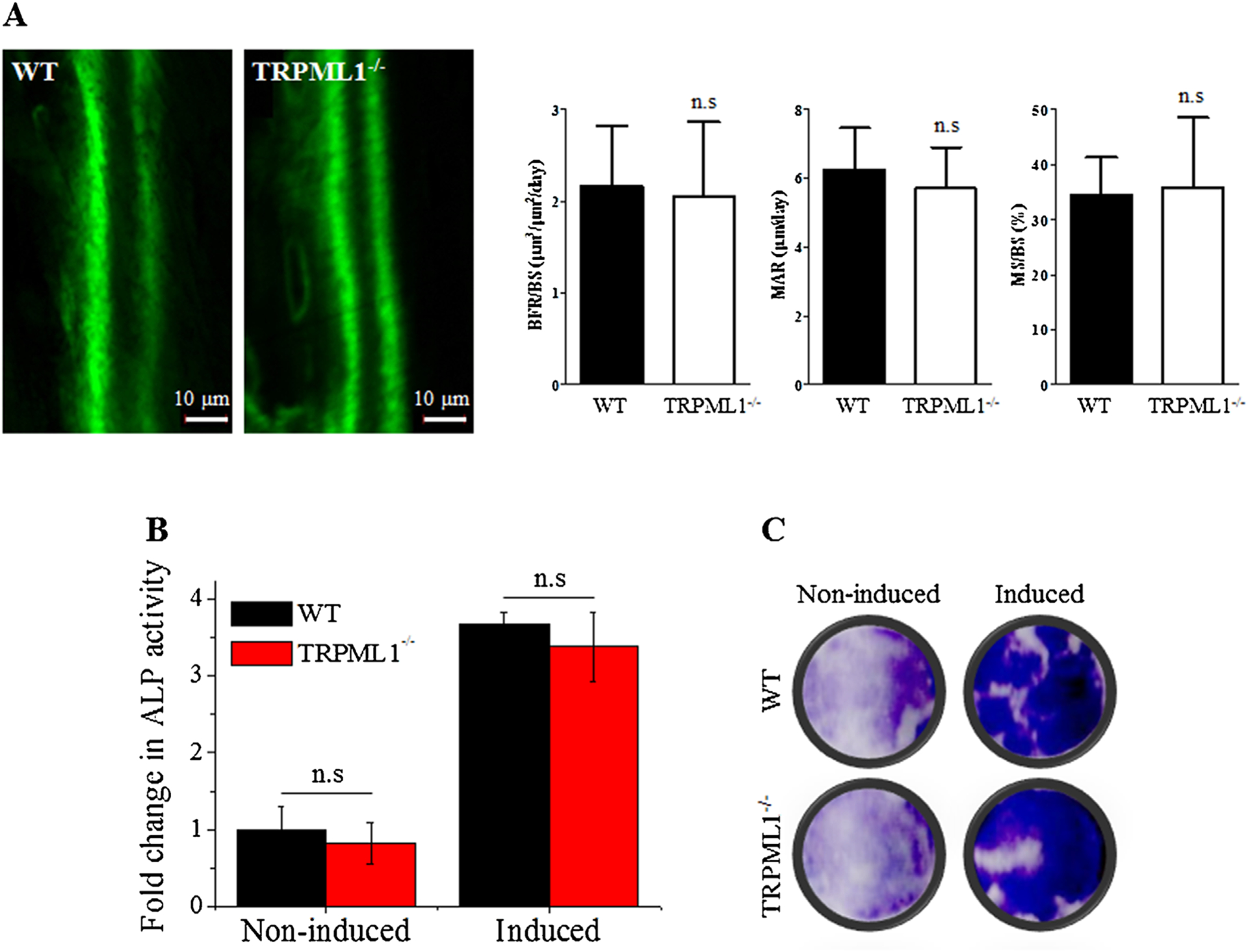 Fig. 7.