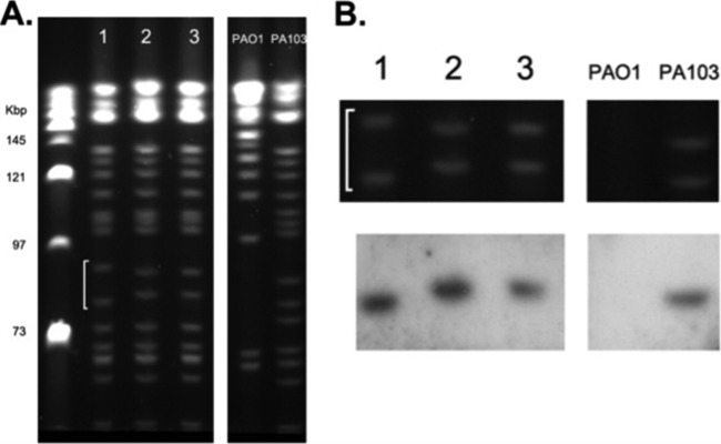 FIG 2