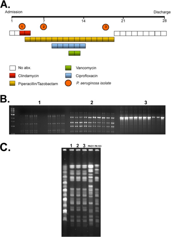 FIG 1